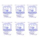 Defumador Divino Mestre Sem Brasa Limpeza Espiritual Caseiro Umbanda Kit 6 Und