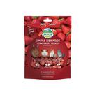 Deleite para animais pequenos Oxbow SIMPLE REWARDS STRAWBERRY 15mL