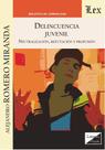Delincuencia juvenil. Neutralización, refutación