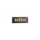 Dente 264 Superior Anterior 66 - New Dent
