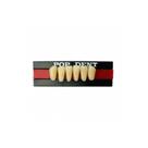 Dente 3n inferior na 62 pop dent