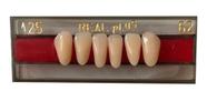Dente Acrílico Reposição Prótese Anterior Inferior A25 - 62 Dente Acrílico Reposição Prótese Anterior Inferior A25 - 62