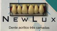 Dente Acrílico Três Camadas T17 Newlux