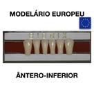 Dente Bionix Anterior Inferior - Reaw