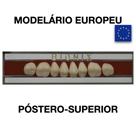 Dente Bionix Posterior Superior - Reaw
