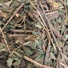 Dente de Leão 100g Taraxacum officinale LondriNutri