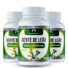 Dente de Leão 300 Cápsulas 500mg