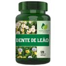 Dente de Leão Puro 120 Cáps - Fonte Verde Dente de Leão Puro 120 Cáps - Fonte Verde