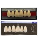 Dente Dent Clean Anterior 263 Superior - Imodonto
