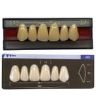 Dente Dent Clean Anterior 263 Superior - Imodonto