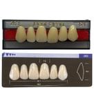 Dente Dent Clean Anterior 263 Superior - Imodonto