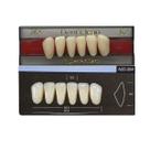 Dente Dent Clean Anterior 264 Inferior - Imodonto
