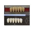 Dente Dent Clean Anterior 264 Inferior - Imodonto