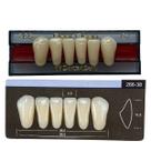 Dente Dent Clean Anterior 266 Inferior - Imodonto
