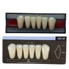 Dente Dent Clean Anterior 266 Inferior - Imodonto Dente Dent Clean Anterior 266 Inferior - Imodonto