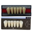 Dente Dent Clean Anterior 266 Inferior - Imodonto