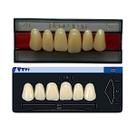 Dente Dent Clean Anterior 2D Superior - Imodonto