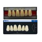 Dente Dent Clean Anterior 2N Superior - Imodonto
