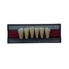 Dente Dent Clean Anterior 2P Inferior - Imodonto