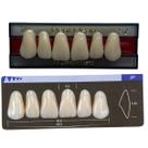 Dente Dent Clean Anterior 2P Superior - Imodonto