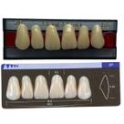 Dente Dent Clean Anterior 2P Superior - Imodonto