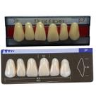 Dente Dent Clean Anterior 2P Superior - Imodonto