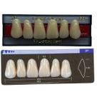 Dente Dent Clean Anterior 2P Superior - Imodonto