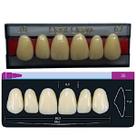 Dente Dent Clean Anterior 38 Superior - Imodonto