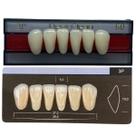 Dente Dent Clean Anterior 3P Inferior - Imodonto