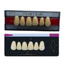 Dente Dent Clean Anterior A23 Superior - Imodonto