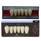 Dente Dent Clean Anterior A26 Inferior - Imodonto