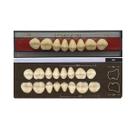 Dente Dent Clean Posterior 30L Superior - Imodonto