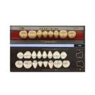 Dente Dent Clean Posterior 30M Inferior - Imodonto