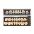 Dente Dent Clean Posterior 36L Superior - Imodonto