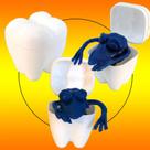 Dente Dentão Baú Com Bactéria - 4 Unidades - D-Express