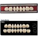 Dente New Form Posterior PM3 Superior - Imodonto