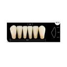 Dente Platinum Tri 03 Camadas Anterior IK10 Inferior-Imodonto