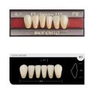 Dente Platinum Tri 03 Camadas Anterior IK3 Inferior-Imodonto