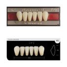 Dente Platinum Tri 03 Camadas Anterior IK3 Inferior-Imodonto
