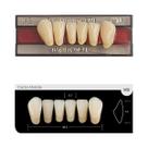 Dente Platinum Tri 03 Camadas Anterior IK9 Inferior-Imodonto
