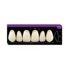 Dente Platinum Tri 03 Camadas Anterior P18 Superior-Imodonto