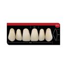 Dente Platinum Tri 03 Camadas Anterior SE5 Superior-Imodonto