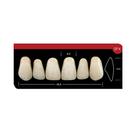 Dente Platinum Tri 03 Camadas Anterior SF4 Superior-Imodonto