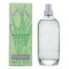 Deo Colônia Capim-Limão 100ml Deo Colônia Capim-Limão 100ml