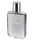 Deo colônia fiorucci mr grey 100ml