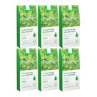 Depilflax Folhas Prontas Facial c/ 24 Hortelã - 6 Unidades