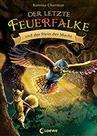 Der letzte Feuerfalke und der Stein der Macht (Band 1): Spannendes Erstlesebuch - EDITORA LOEWE