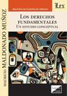 Derechos fundamentales. Un estudio conceptual