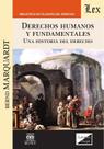 Derechos humanos. Una historia del