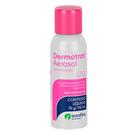 Dermotrat Aerosol em 110ml